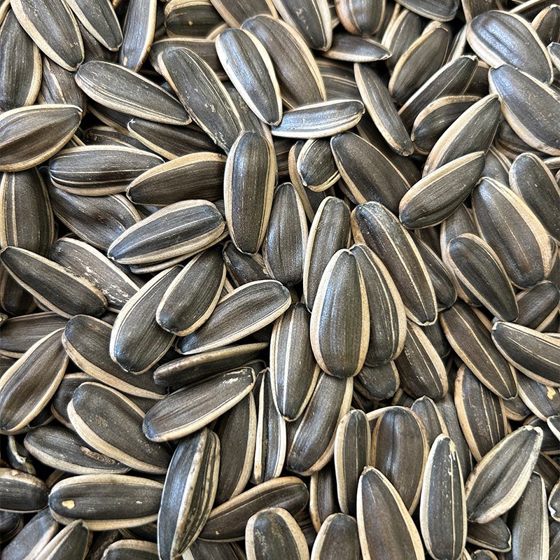 361 sunflower seeds